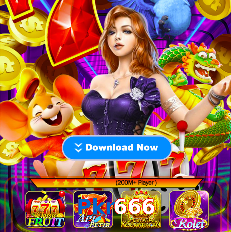 Pkr666 interface sample